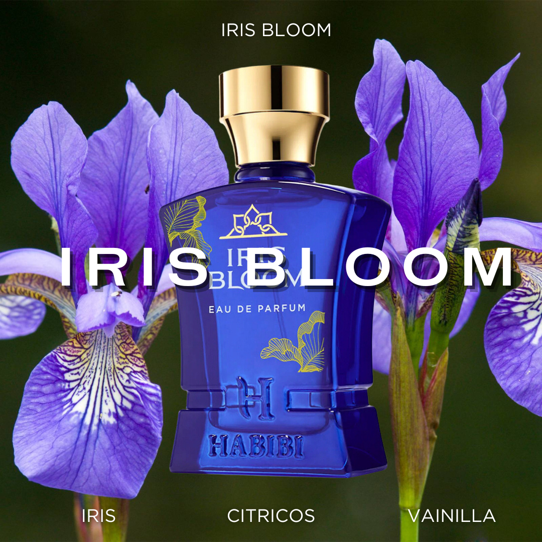 Iris Bloom