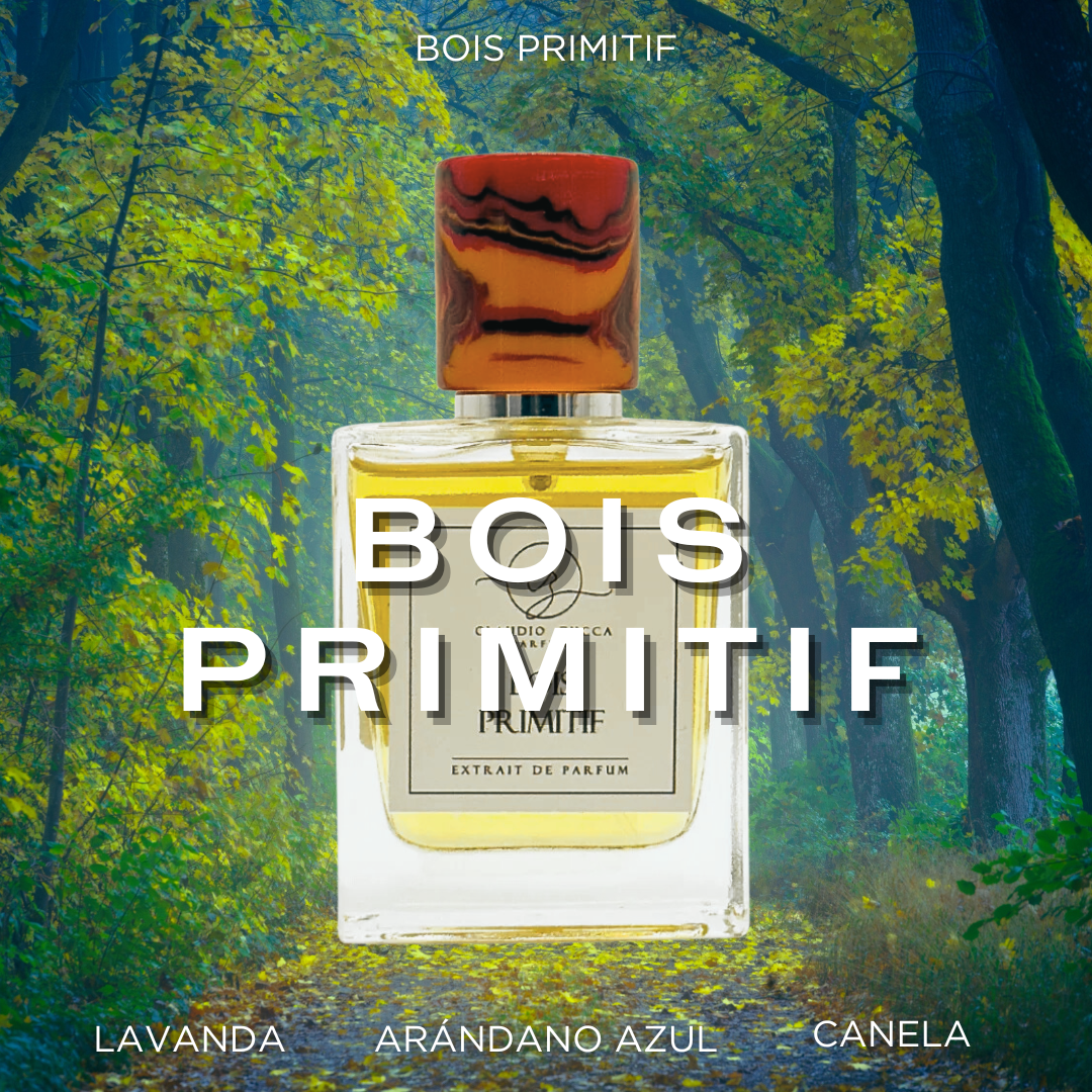 Bois Primitif