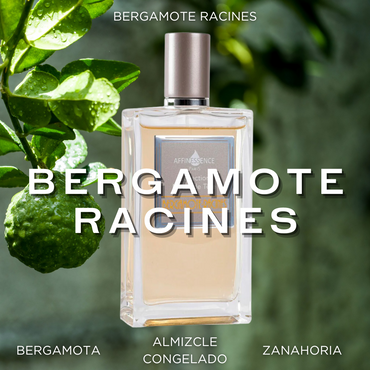 Bergamote Racines